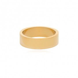 ANILLO DE ACERO INOXIDABLE 11 A00061